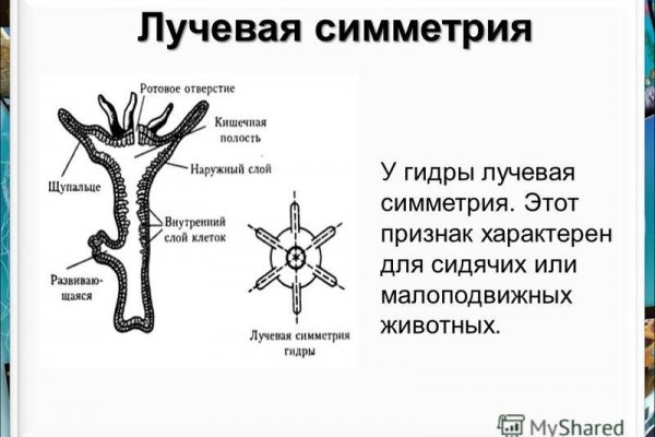 Кракен сайт kr2web in зеркало рабочее